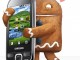 Android 2.3x Gingerbread Telefon/Tablet Manuel Ip Dns Atama